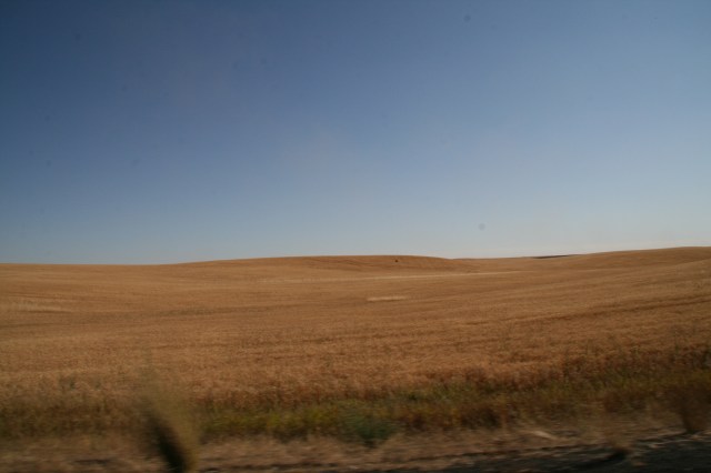 Mijlen en mijlenlange graanvelden