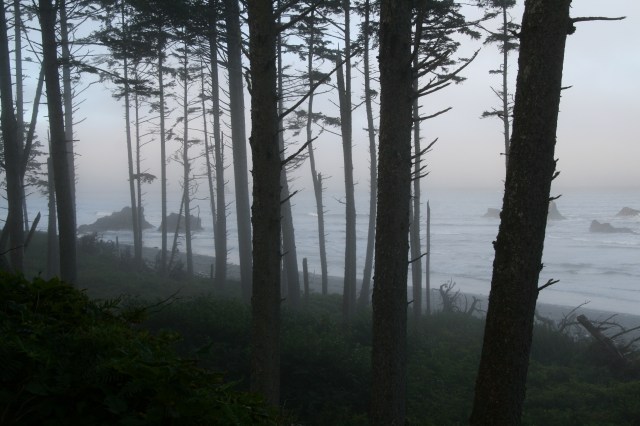 Ruby Beach bij mist 2
