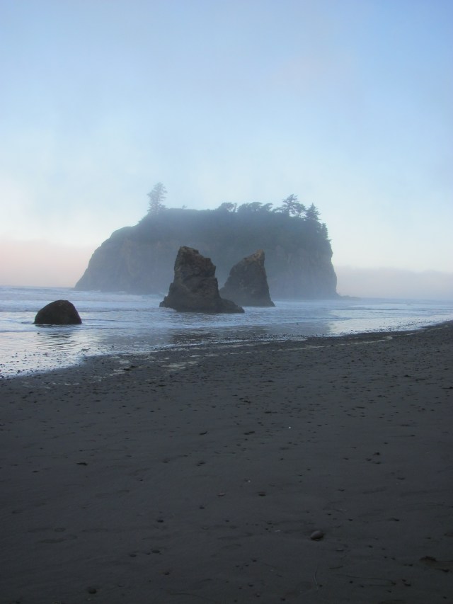 Ruby Beach bij mist