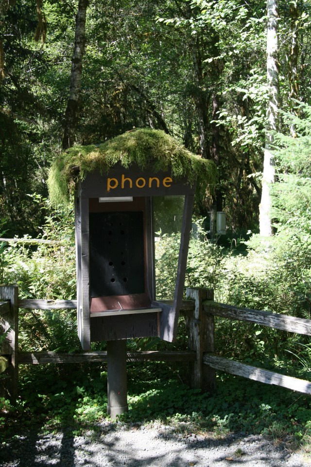 Telefooncel met pruik