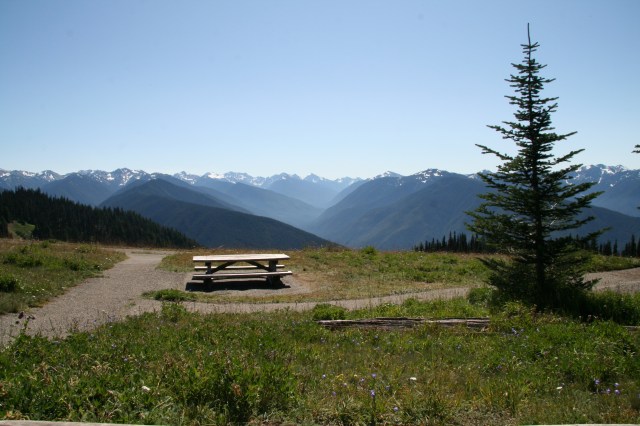 Uitzicht bij picknicken in Hurricane Ridge