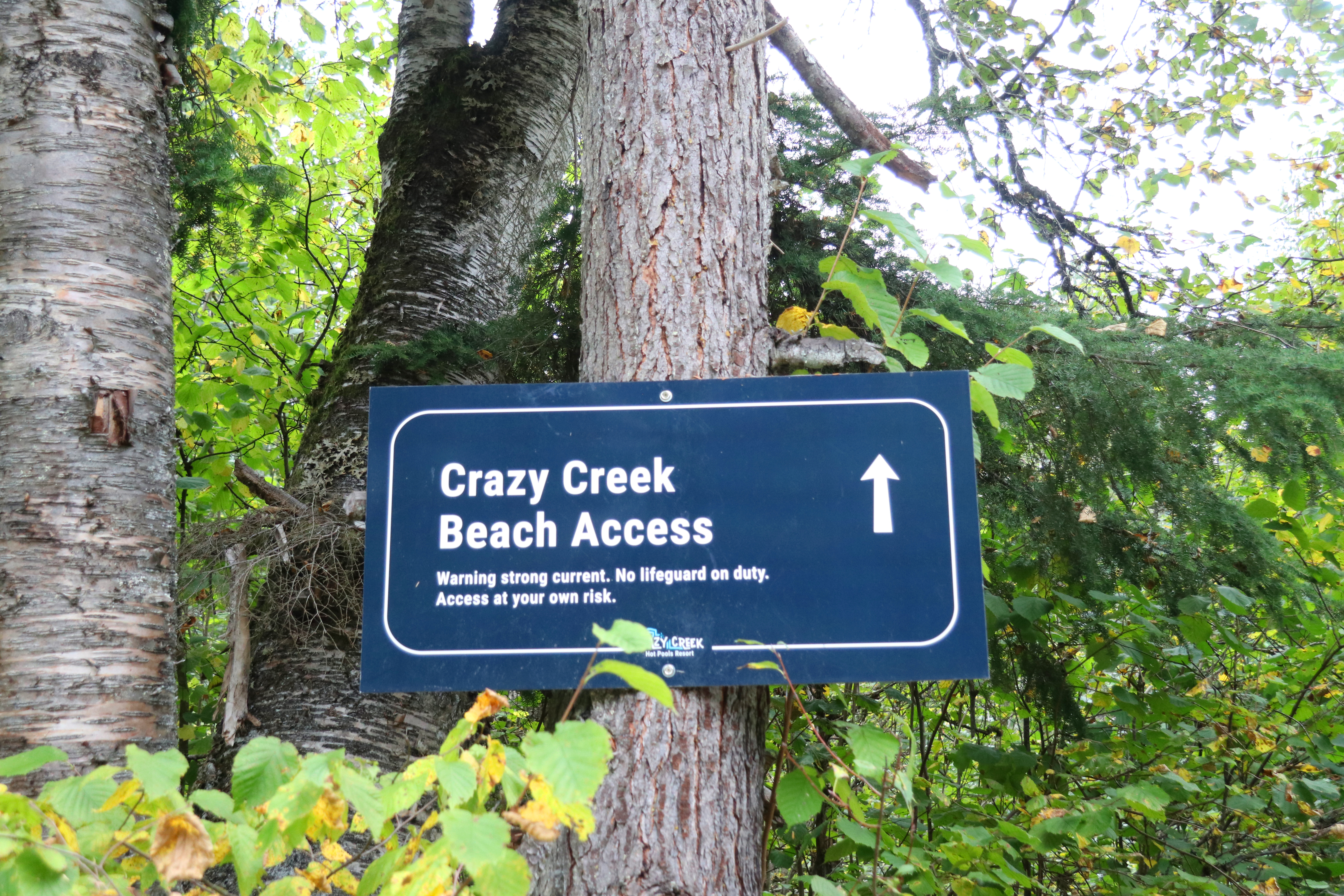 PetorVerkeerColumns: 2011, image size:6000x4000